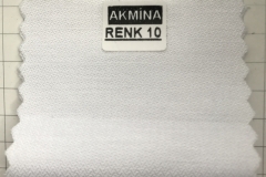 RENK 10