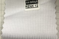 RENK 12