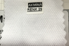 RENK 29