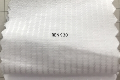 RENK 30