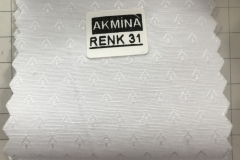 RENK 31