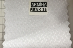 RENK 33