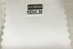 RENK 36