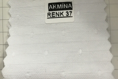 RENK 37