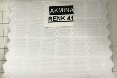 RENK 41