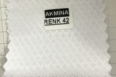 RENK 42