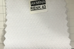 RENK 43