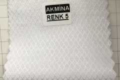 RENK 5